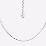 labriclya_silver_040_004