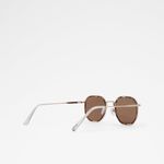 cigolith_brown_240_002