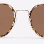 cigolith_brown_240_004