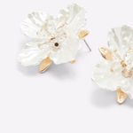 bamey_white_102_004
