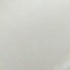 Babriclya silver