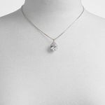 Beauceron-silver-clear-multi
