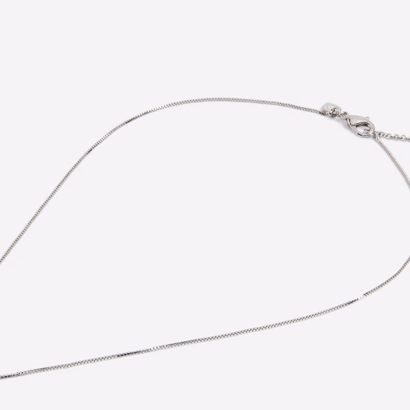 Beauceron-silver-clear-multi