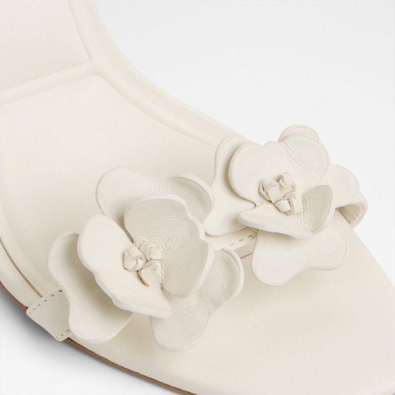 Daisylily-white-bone