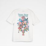 Whatisadam02-bright-multi